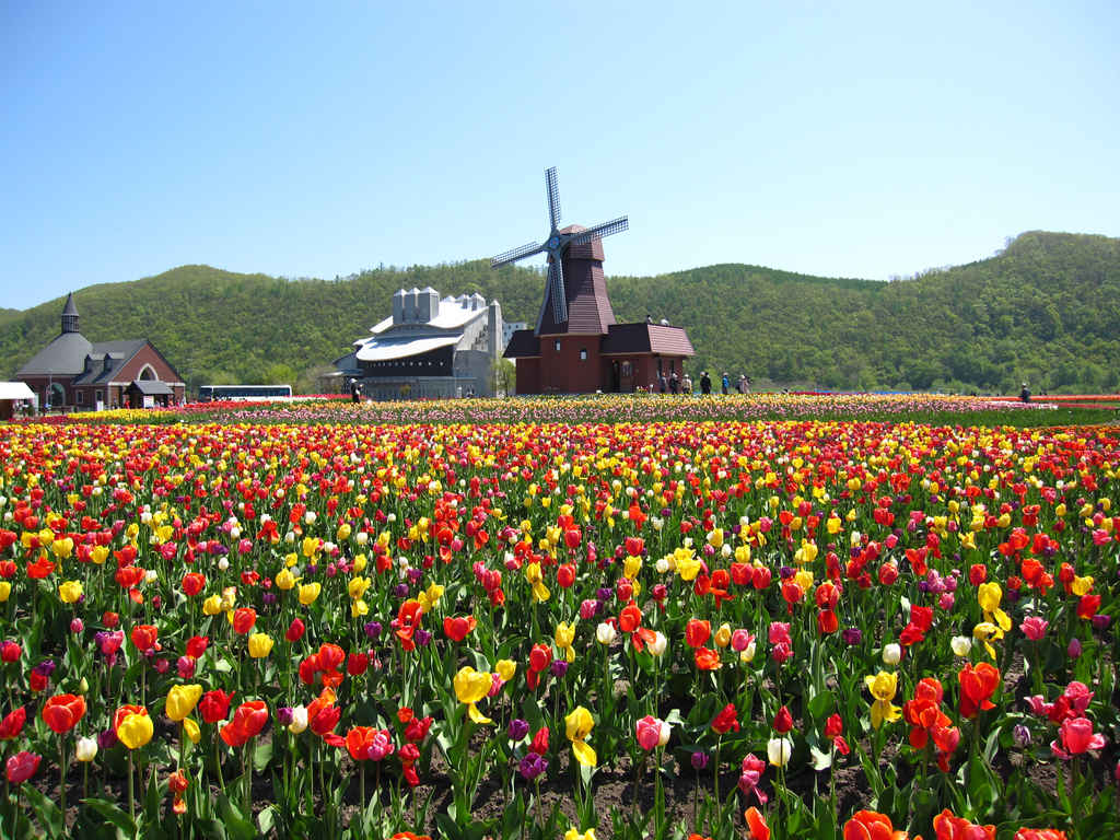 上湧別チューリップ 北海道 The絶景