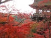 kiyomizu05