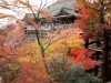 kiyomizu07