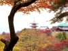 kiyomizu08