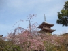 kiyomizu10